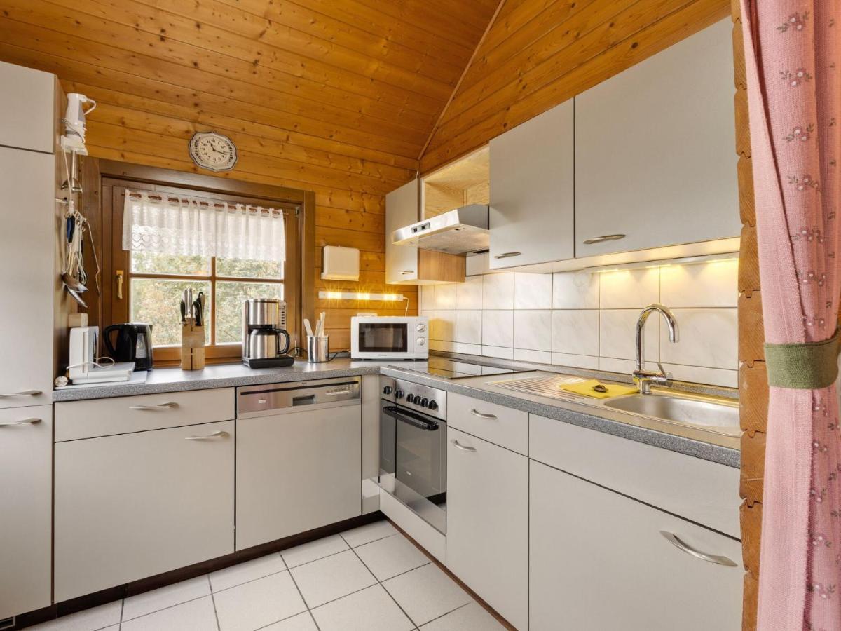 Chalet In Hinterrod Thuringia With Sauna Eisfeld Dış mekan fotoğraf